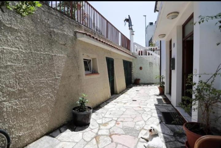 Apartment Cebra 2 *